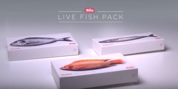 翻拍自The Live Fish Pack @ Youtube